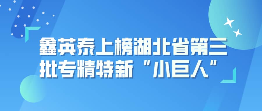 鑫英泰上榜湖北省第三批專精特新“小巨人”企業(yè)名單