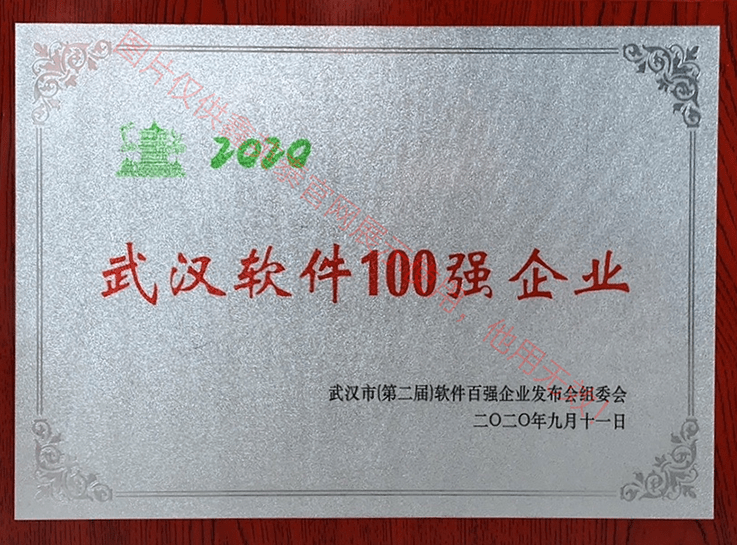 2020年武漢市軟件百?gòu)?qiáng)企業(yè)